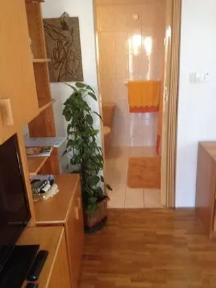 Apart Daire, 1 Yatak Odası (N2)