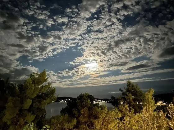 Apart Daire, 2 Yatak Odası, Balkon