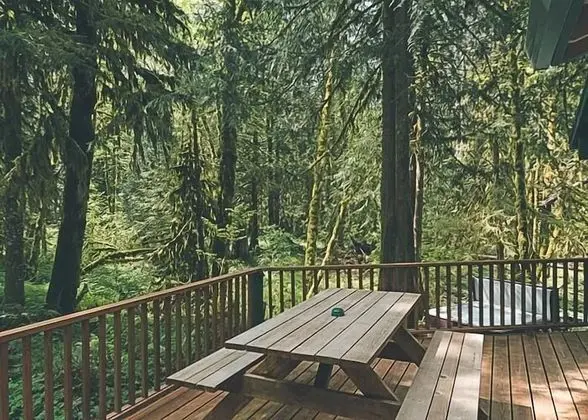 Kulübe, Birden Çok Yatak (Cozy Bear Cabin)