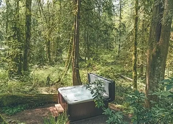 Kulübe, Birden Çok Yatak (Cozy Bear Cabin)