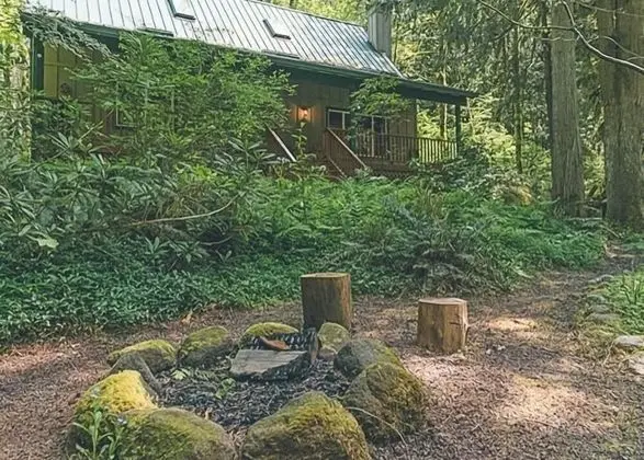 Kulübe, Birden Çok Yatak (Cozy Bear Cabin)