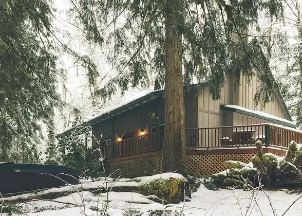 Kulübe, Birden Çok Yatak (Cozy Bear Cabin)