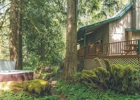 Kulübe, Birden Çok Yatak (Cozy Bear Cabin)