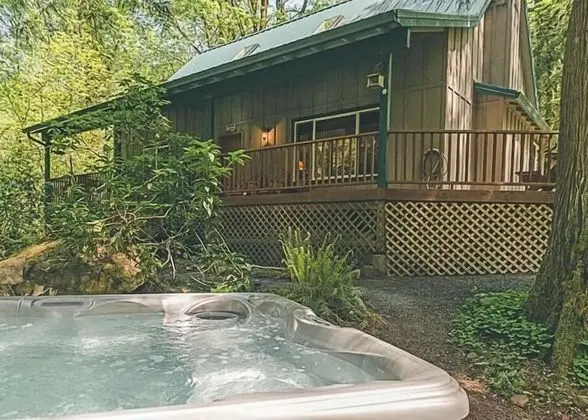 Kulübe, Birden Çok Yatak (Cozy Bear Cabin)