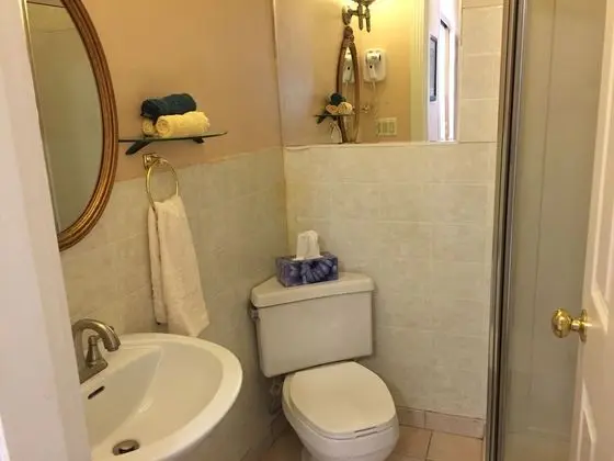 Standard Tek Büyük Yataklı Oda, 1 Çift Kişilik Yatak, Sigara İçilmez
