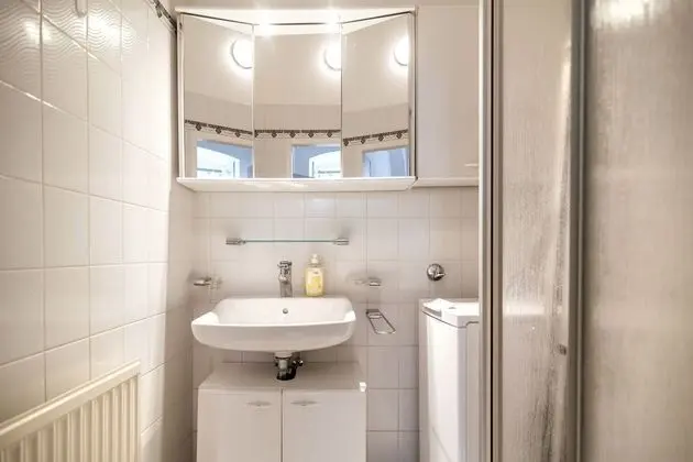 Apart Daire, 1 Yatak Odası, Buzdolabı
