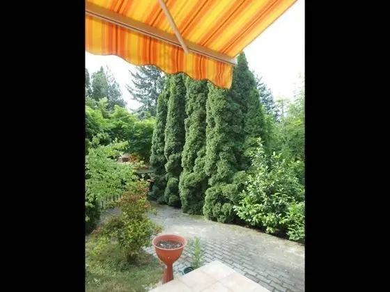 Ev, 3 Yatak Odası, Teras