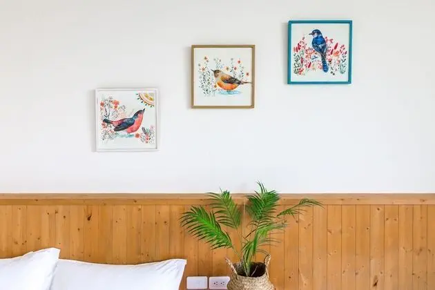 Comfort Tek Büyük Yataklı Oda