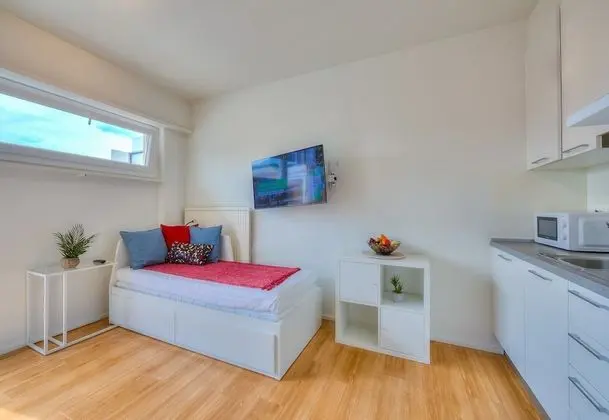Standard Stüdyo, 2 Tek Kişilik Yatak, Dağ Manzaralı (Cozy Home Lugano Few Min From Lake)