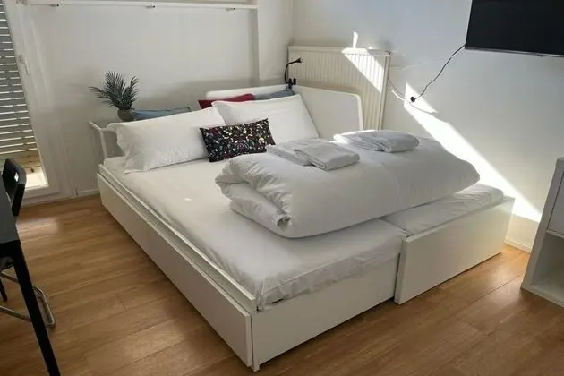 Standard Stüdyo, 2 Tek Kişilik Yatak, Dağ Manzaralı (Cozy Home Lugano Few Min From Lake)