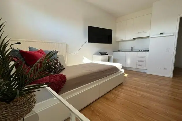 Standard Stüdyo, 2 Tek Kişilik Yatak, Dağ Manzaralı (Cozy Home Lugano Few Min From Lake)