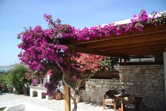 Villa, 3 Yatak Odası, Şömine