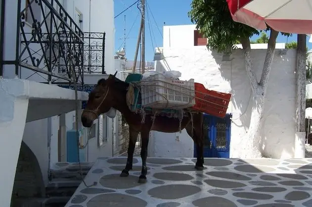 Villa, 3 Yatak Odası, Şömine
