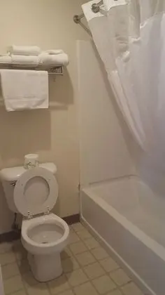 Standard Oda, 2 Büyük (Queen) Boy Yatak