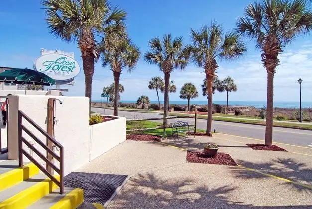 Daire, Birden Çok Yatak (Cozy Ocean View Condo! Beach Front Bu)
