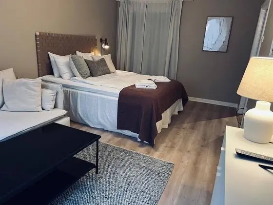 Apart Daire, 1 Yatak Odası