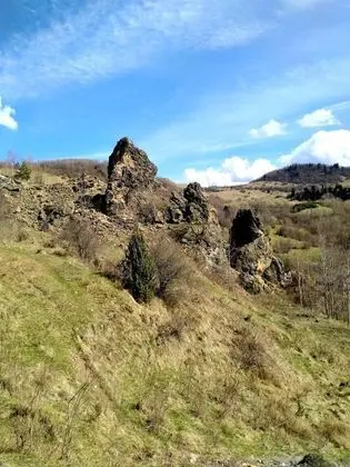 Oda, 1 Yatak Odası, Şömine