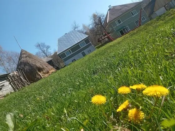 Oda, 1 Yatak Odası, Şömine