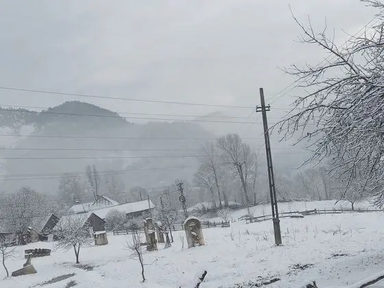 Oda, 1 Yatak Odası, Şömine