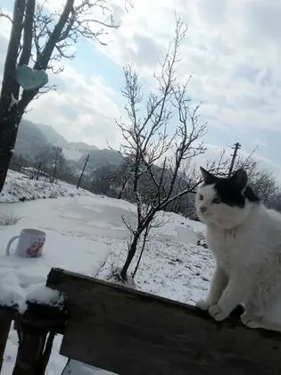 Oda, 1 Yatak Odası, Şömine