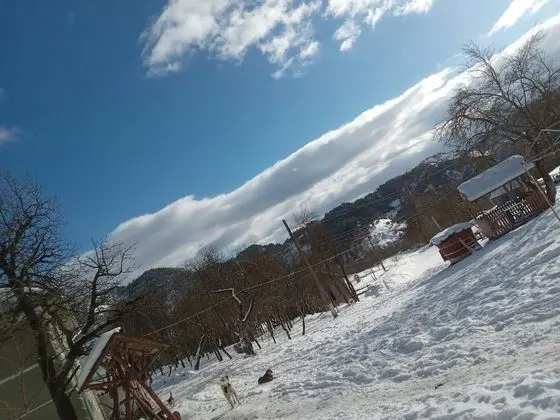 Oda, 1 Yatak Odası, Şömine