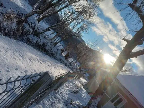 Oda, 1 Yatak Odası, Şömine