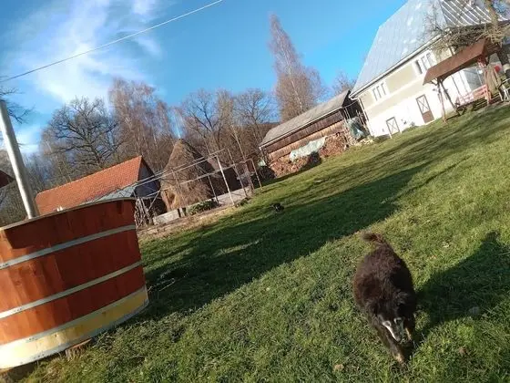 Oda, 1 Yatak Odası, Şömine