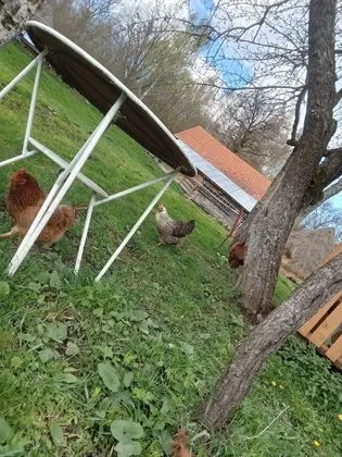 Oda, 1 Yatak Odası, Şömine