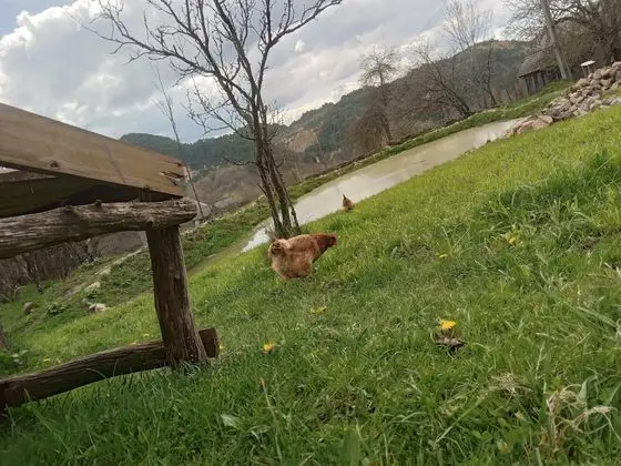 Oda, 1 Yatak Odası, Şömine