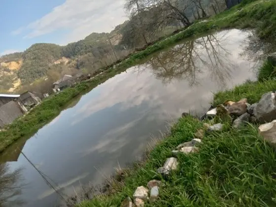 Oda, 1 Yatak Odası, Şömine