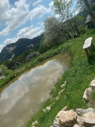 Oda, 1 Yatak Odası, Şömine