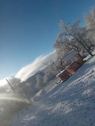 Oda, 1 Yatak Odası, Şömine