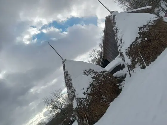 Oda, 1 Yatak Odası, Şömine