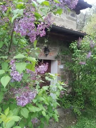 Dağ Evi, 1 Yatak Odası, Sigara İçilebilir, Şömine