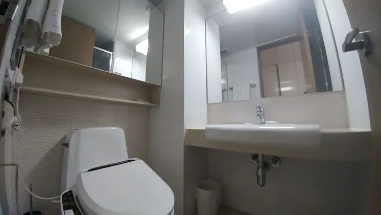 Business Tek Kişilik Oda, 1 Yatak Odası
