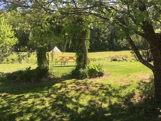 Deluxe Süit, 2 Yatak Odası