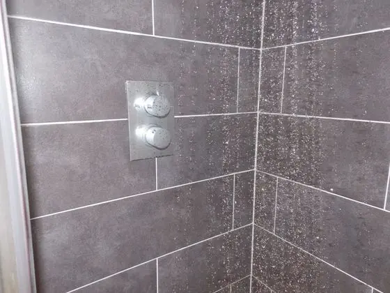 Tek Büyük Yataklı Oda, 1 Yatak Odası