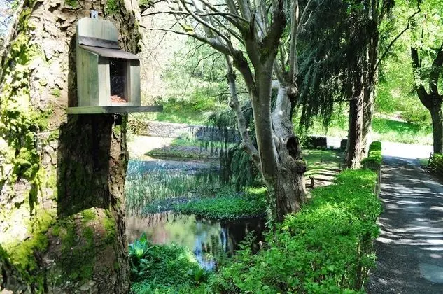 Deluxe Tek Büyük Yataklı Oda, Balkon