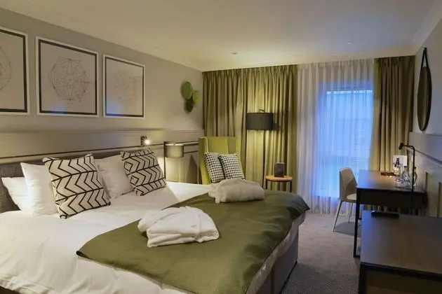 Deluxe Tek Büyük Yataklı Oda, 1 Çift Kişilik Yatak