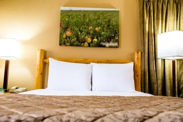 Oda (Whitetail Guest Room)