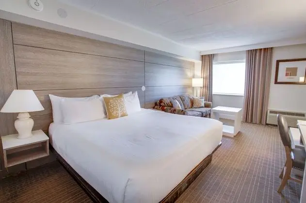 Premium Room, 1 King Bed with Sofa bed (No Pets)