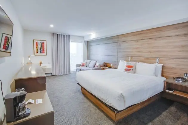 Premium Room, 1 King Bed with Sofa bed (No Pets)