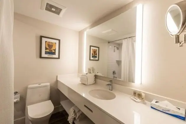 Premium Room, 1 King Bed with Sofa bed (No Pets)