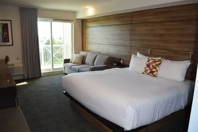 Standard Room, 1 King Bed with Sofa bed -Pet Friendly($)