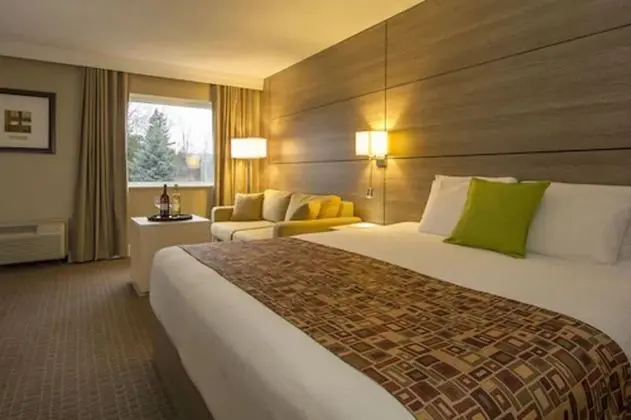 Standard Room, 1 King Bed with Sofa bed -Pet Friendly($)