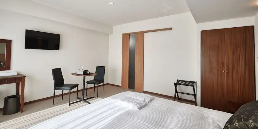 Tek Büyük Yataklı Oda (Condominium Type)