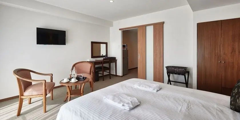 Tek Büyük Yataklı Oda (Hotel Type)