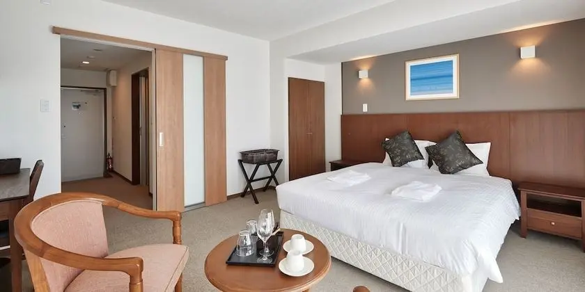 Tek Büyük Yataklı Oda (Hotel Type)