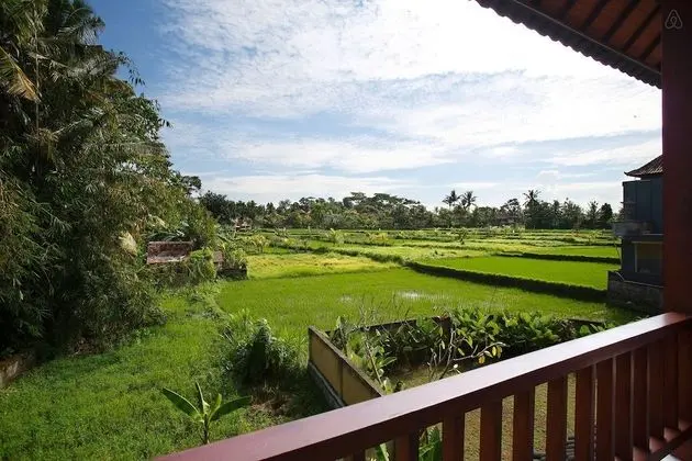 Villa, 1 Yatak Odası
