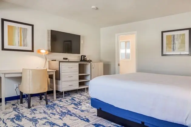 Deluxe Oda, 1 En Büyük (King) Boy Yatak, Balkon, Bahçe Manzaralı